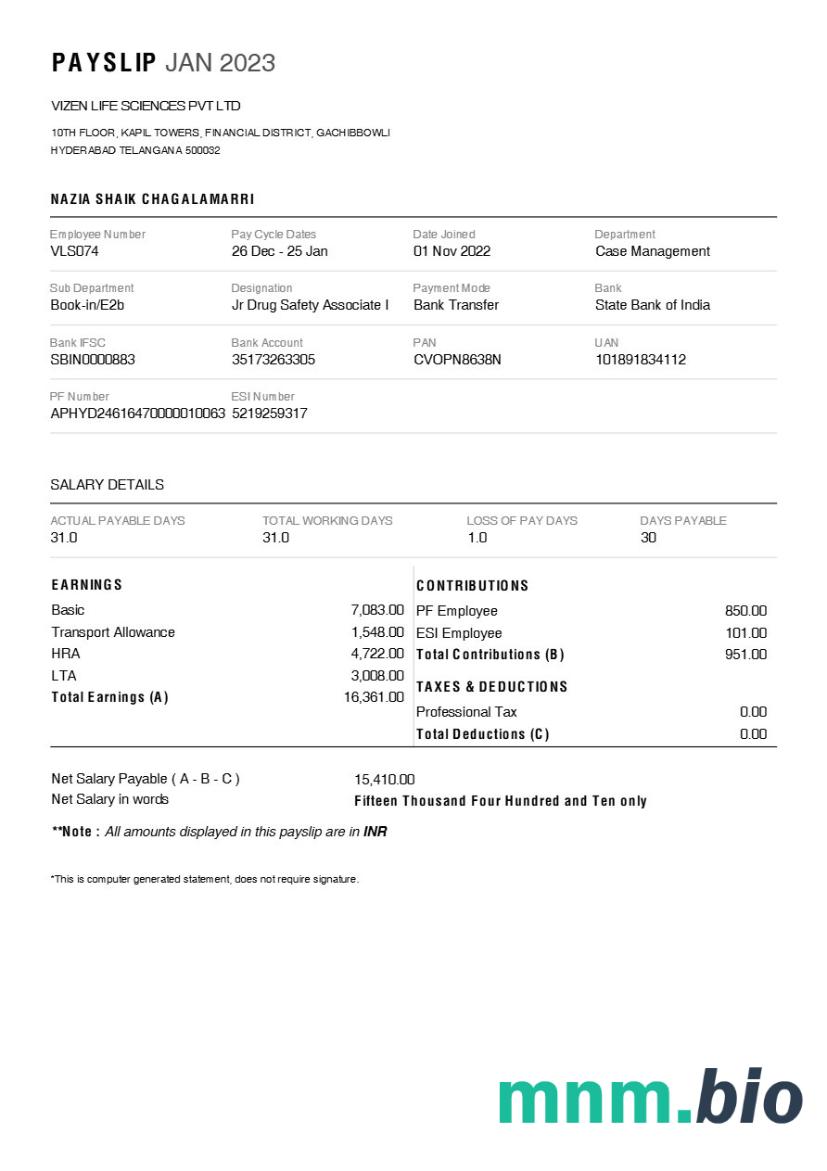 Vizen Life Sciences pharmaceutical company payslip template in Word and PDF formats